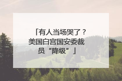 有人当场哭了？美国白宫国安委裁员“降级”