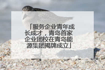 服务企业青年成长成才，青岛首家企业团校在青岛能源集团揭牌成立