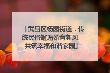武昌区杨园街道：传统民俗邂逅婚育新风 共筑幸福和谐家园