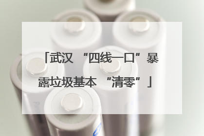 武汉 “四线一口”暴露垃圾基本 “清零”