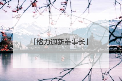 格力迎新董事长
