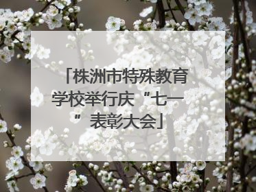 株洲市特殊教育学校举行庆“七一”表彰大会