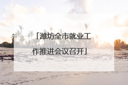 潍坊全市就业工作推进会议召开