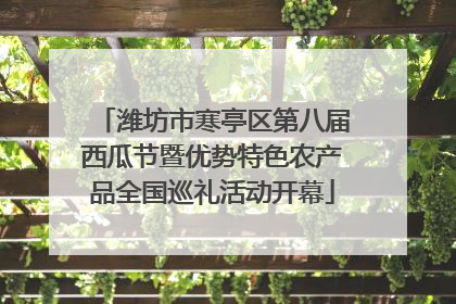 潍坊市寒亭区第八届西瓜节暨优势特色农产品全国巡礼活动开幕