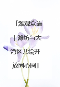 潍观众语｜潍坊与大湾区共绘开放同心圆
