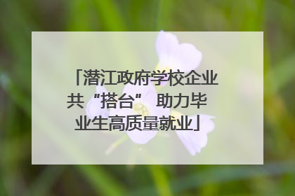 潜江政府学校企业共“搭台” 助力毕业生高质量就业