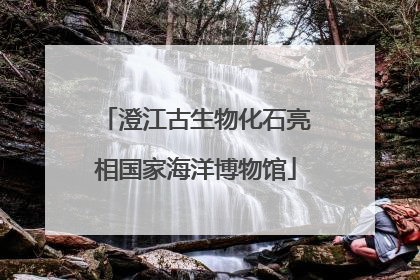 澄江古生物化石亮相国家海洋博物馆