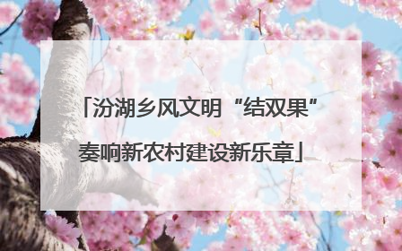汾湖乡风文明“结双果” 奏响新农村建设新乐章
