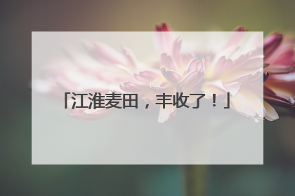江淮麦田，丰收了！