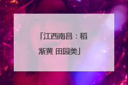 江西南昌：稻渐黄 田园美