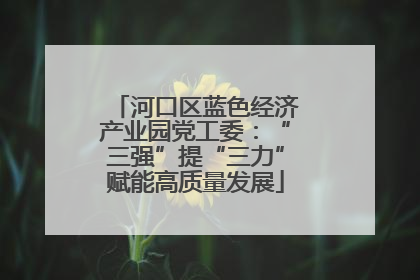 河口区蓝色经济产业园党工委：“三强”提“三力”赋能高质量发展
