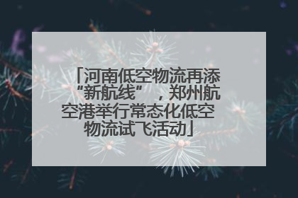 河南低空物流再添“新航线”，郑州航空港举行常态化低空物流试飞活动