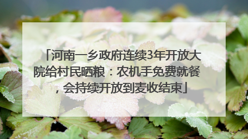 河南一乡政府连续3年开放大院给村民晒粮：农机手免费就餐，会持续开放到麦收结束