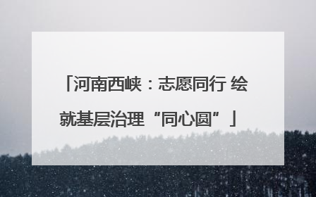 河南西峡：志愿同行 绘就基层治理“同心圆”