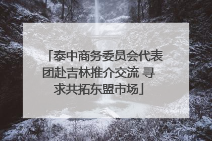 泰中商务委员会代表团赴吉林推介交流 寻求共拓东盟市场