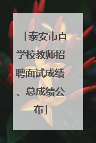 泰安市直学校教师招聘面试成绩、总成绩公布