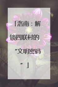 洛南：解锁四联村的“文明密码”