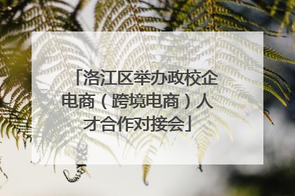洛江区举办政校企电商（跨境电商）人才合作对接会