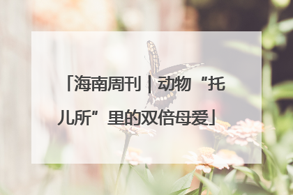 海南周刊｜动物“托儿所”里的双倍母爱
