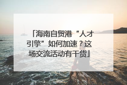 海南自贸港“人才引擎”如何加速？这场交流活动有干货