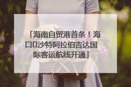 海南自贸港首条！海口⇌沙特阿拉伯吉达国际客运航线开通