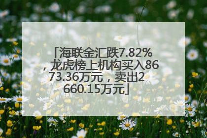 海联金汇跌7.82%，龙虎榜上机构买入8673.36万元，卖出2660.15万元