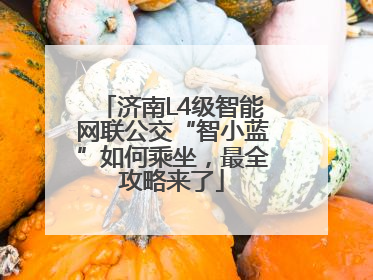 济南L4级智能网联公交“智小蓝”如何乘坐，最全攻略来了