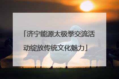 济宁能源太极拳交流活动绽放传统文化魅力