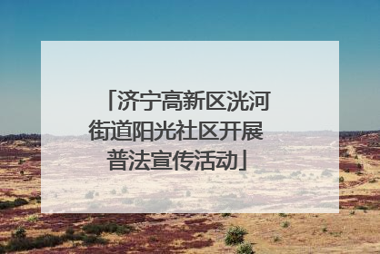 济宁高新区洸河街道阳光社区开展普法宣传活动