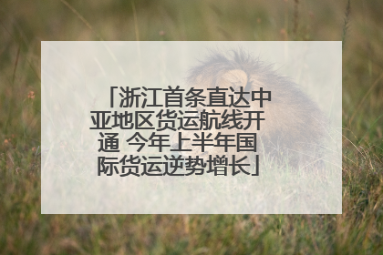 浙江首条直达中亚地区货运航线开通 今年上半年国际货运逆势增长