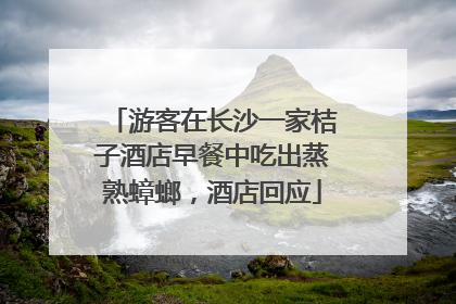 游客在长沙一家桔子酒店早餐中吃出蒸熟蟑螂，酒店回应