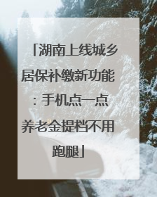 湖南上线城乡居保补缴新功能：手机点一点 养老金提档不用跑腿
