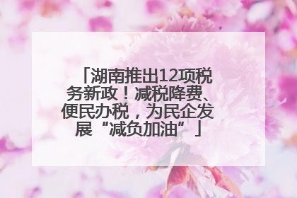 湖南推出12项税务新政！减税降费、便民办税，为民企发展“减负加油”