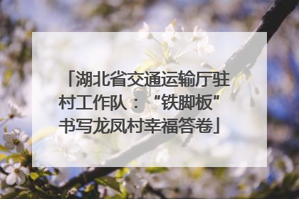 湖北省交通运输厅驻村工作队：“铁脚板”书写龙凤村幸福答卷