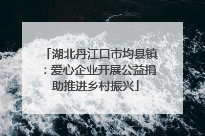 湖北丹江口市均县镇：爱心企业开展公益捐助推进乡村振兴
