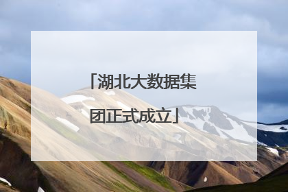 湖北大数据集团正式成立