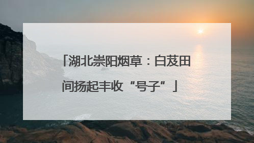 湖北崇阳烟草：白芨田间扬起丰收“号子”