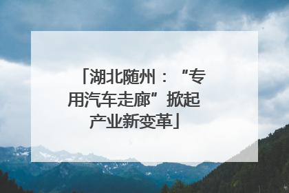湖北随州：“专用汽车走廊”掀起产业新变革