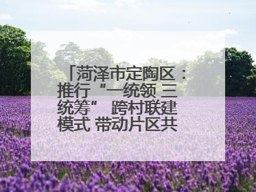 菏泽市定陶区：推行“一统领 三统筹” 跨村联建模式 带动片区共同富裕