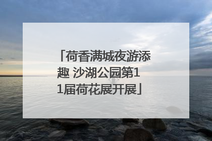 荷香满城夜游添趣 沙湖公园第11届荷花展开展