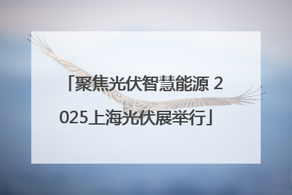 聚焦光伏智慧能源 2025上海光伏展举行