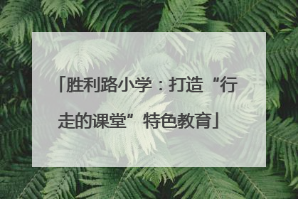 胜利路小学：打造“行走的课堂”特色教育