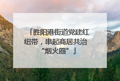胜阳港街道党建红纽带，串起商居共治 “烟火圈”