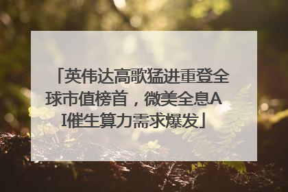 英伟达高歌猛进重登全球市值榜首，微美全息AI催生算力需求爆发