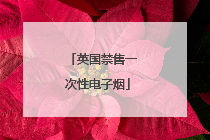 英国禁售一次性电子烟