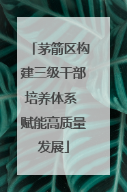 茅箭区构建三级干部培养体系 赋能高质量发展