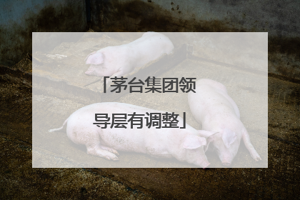 茅台集团领导层有调整