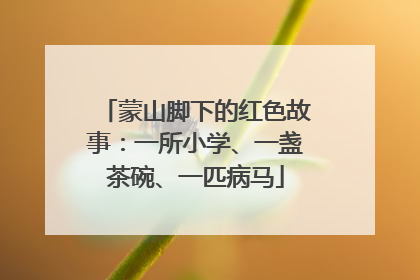 蒙山脚下的红色故事：一所小学、一盏茶碗、一匹病马