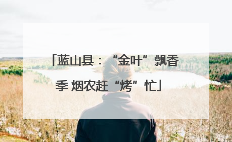 蓝山县：“金叶”飘香季 烟农赶“烤”忙