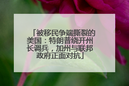 被移民争端撕裂的美国：特朗普绕开州长调兵，加州与联邦政府正面对抗